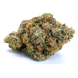 Fleur de CBD : Bruce Banner - Fleur de CBD - Greenhouse