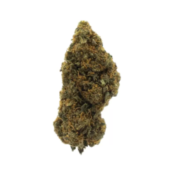 Pineapple Haze - Fleur de CBD - Greenhouse