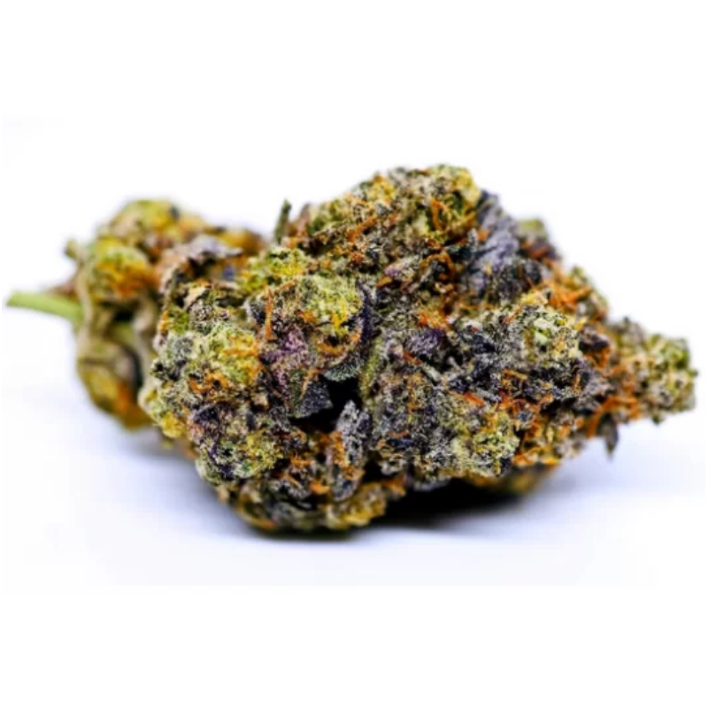 Gelato 41 - Fleur De CBD - Indoor