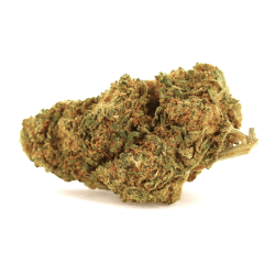 Fleur de CBD : Blueberry
