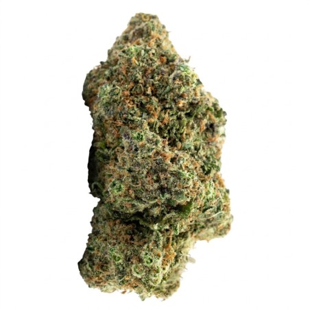 Fleur de CBD : Strawberry Diesel CBD