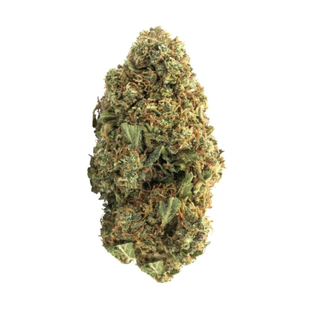 White Widow CBD