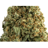 White Widow CBD