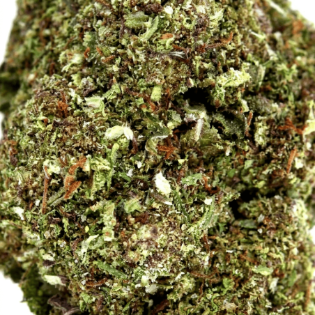 Purple Punch Cryo CBD