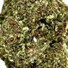Purple Punch Cryo CBD