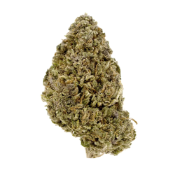 OG Kush CBD