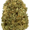 Edelwiis CBD