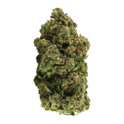Platinum OG CBN