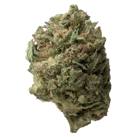 Cannatonic - Small Bud CBD