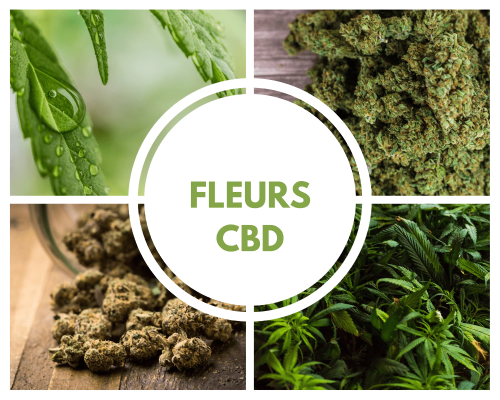 Fleurs de cbd